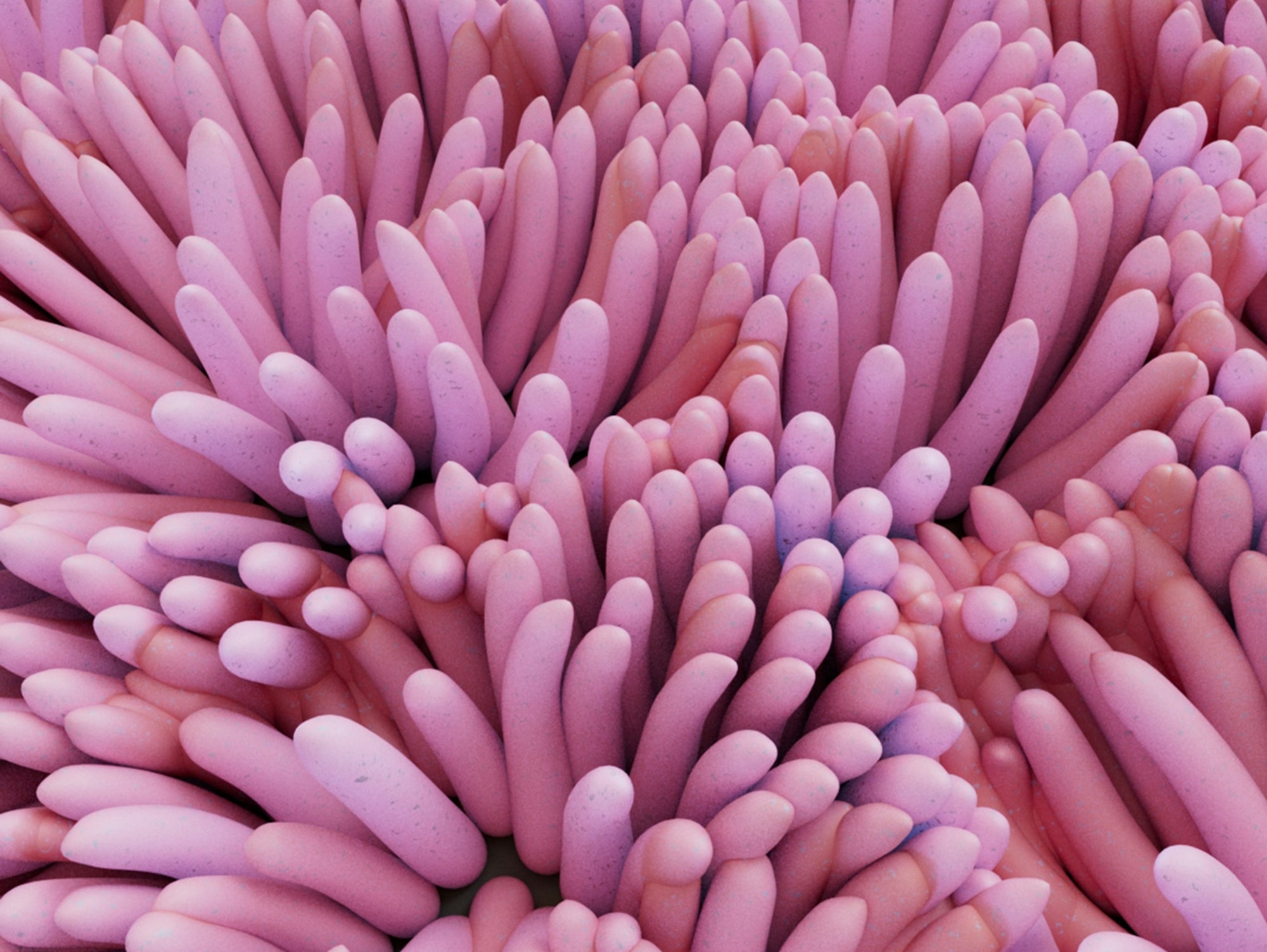 The Gut-Brain Axis: How a Healthy Gut Boosts Mental Health and Cognitive Function