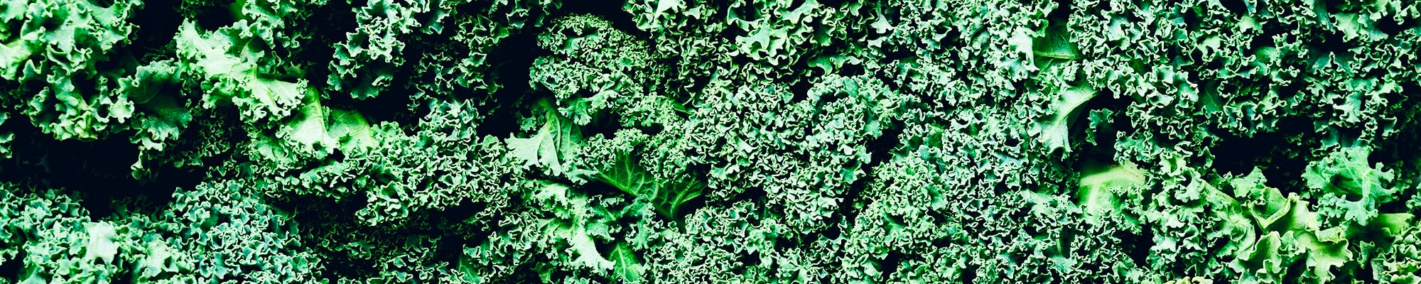 Understanding Actives in Nutrition